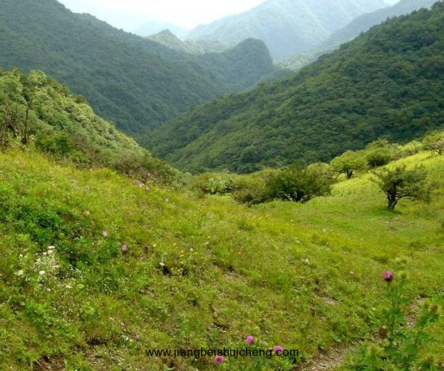 【走遍中国·景点篇】秦岭 【走遍中国·景点篇】秦岭