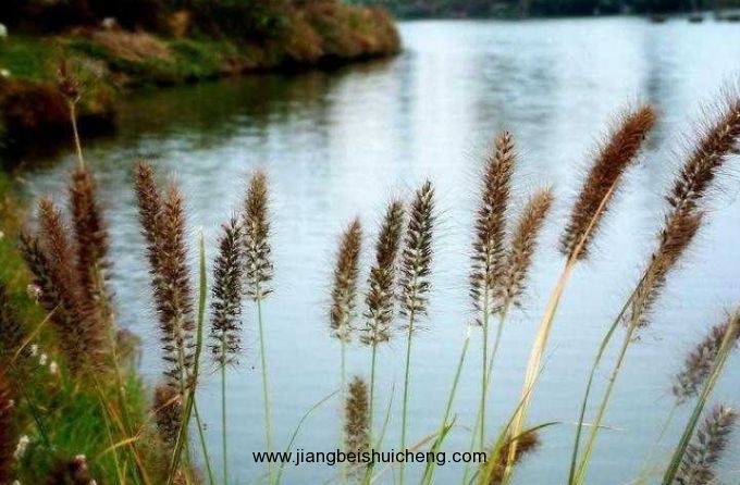 【走遍中国·景点篇】陕西·福地湖