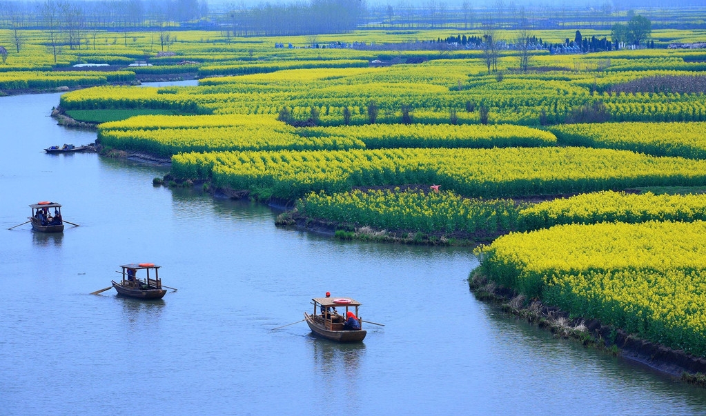 溱湖国家湿地公园