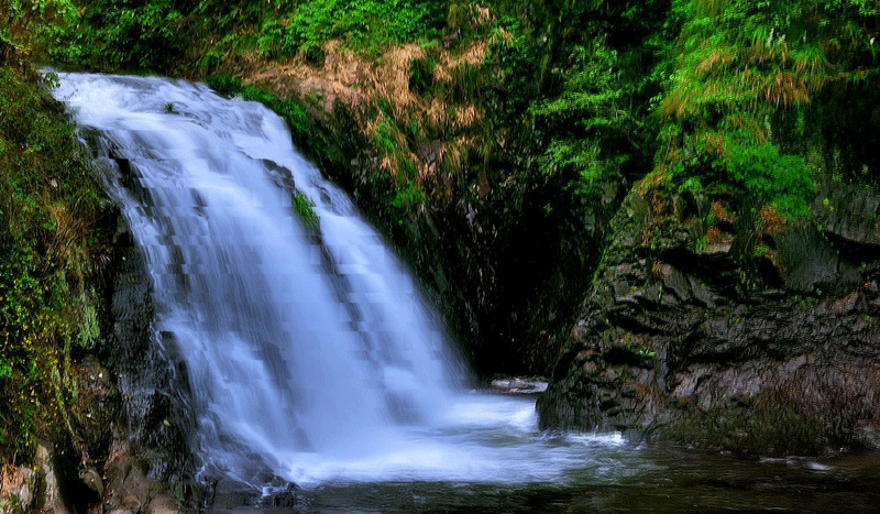去缅甸享受自然的风情 十一月 1. 去腾冲银杏村拍银杏 2.
