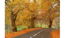 德法意瑞+荷兰十二日游