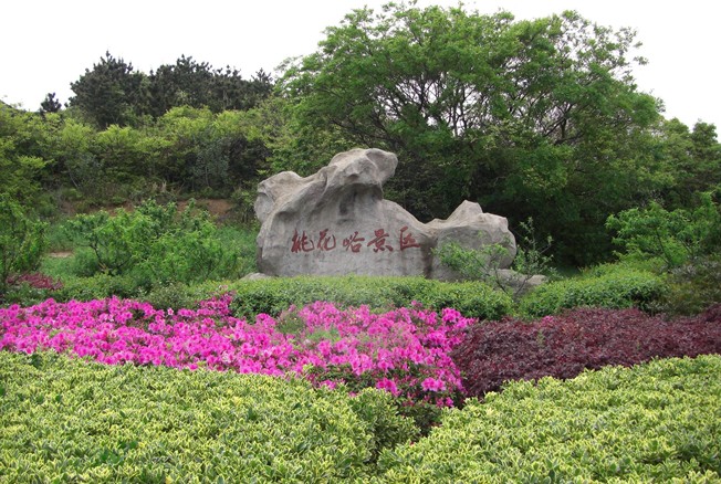 景点大全 题公园 桃花峪景区位于桃花岛东海岸,是岛上自然生态环境